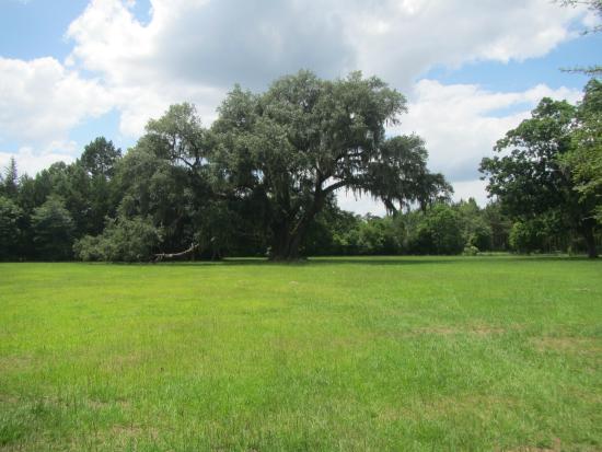 Cellon Oak Park