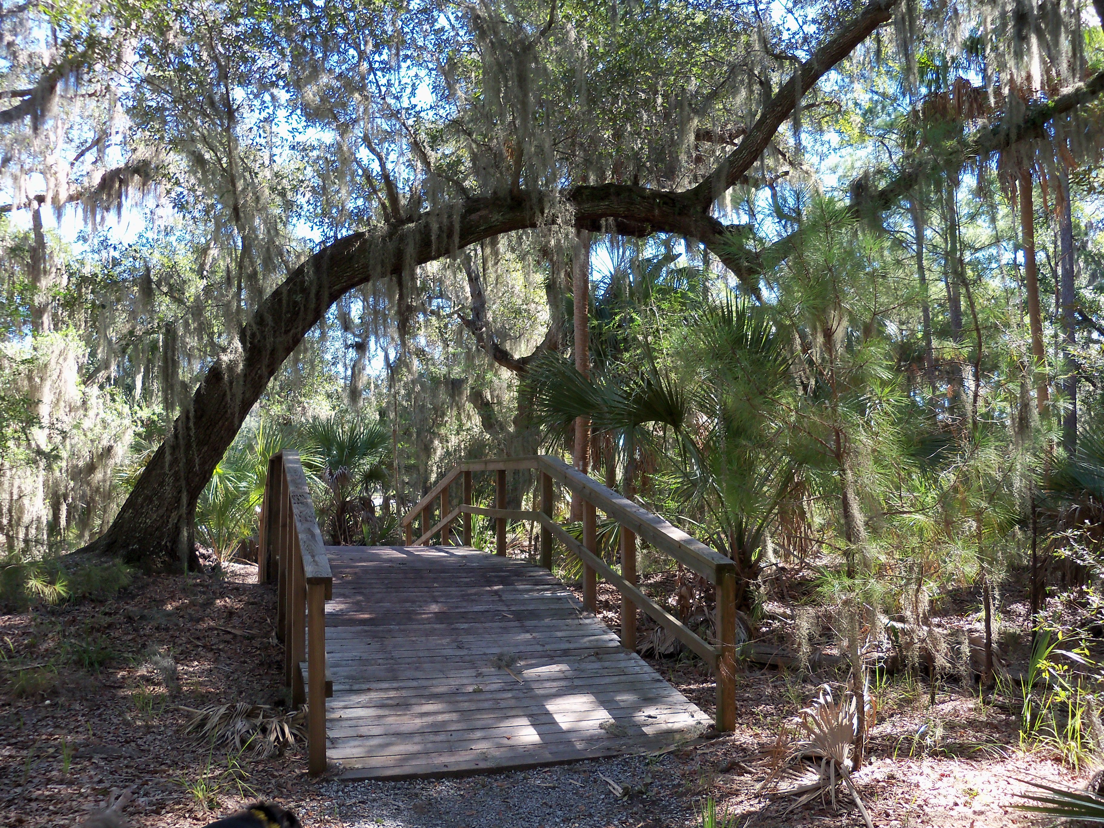 Skidaway Island State Park