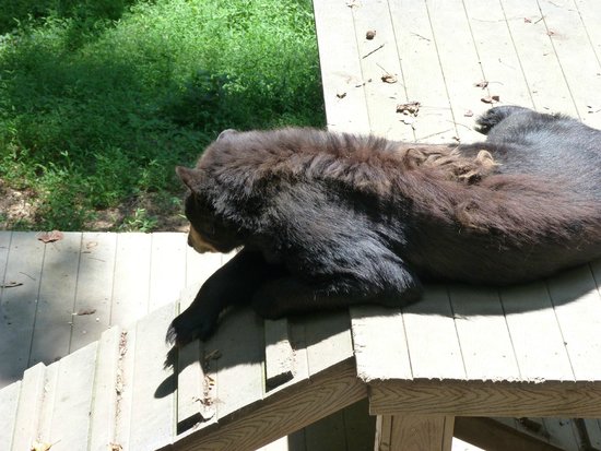 Outdoor Pictures 1
