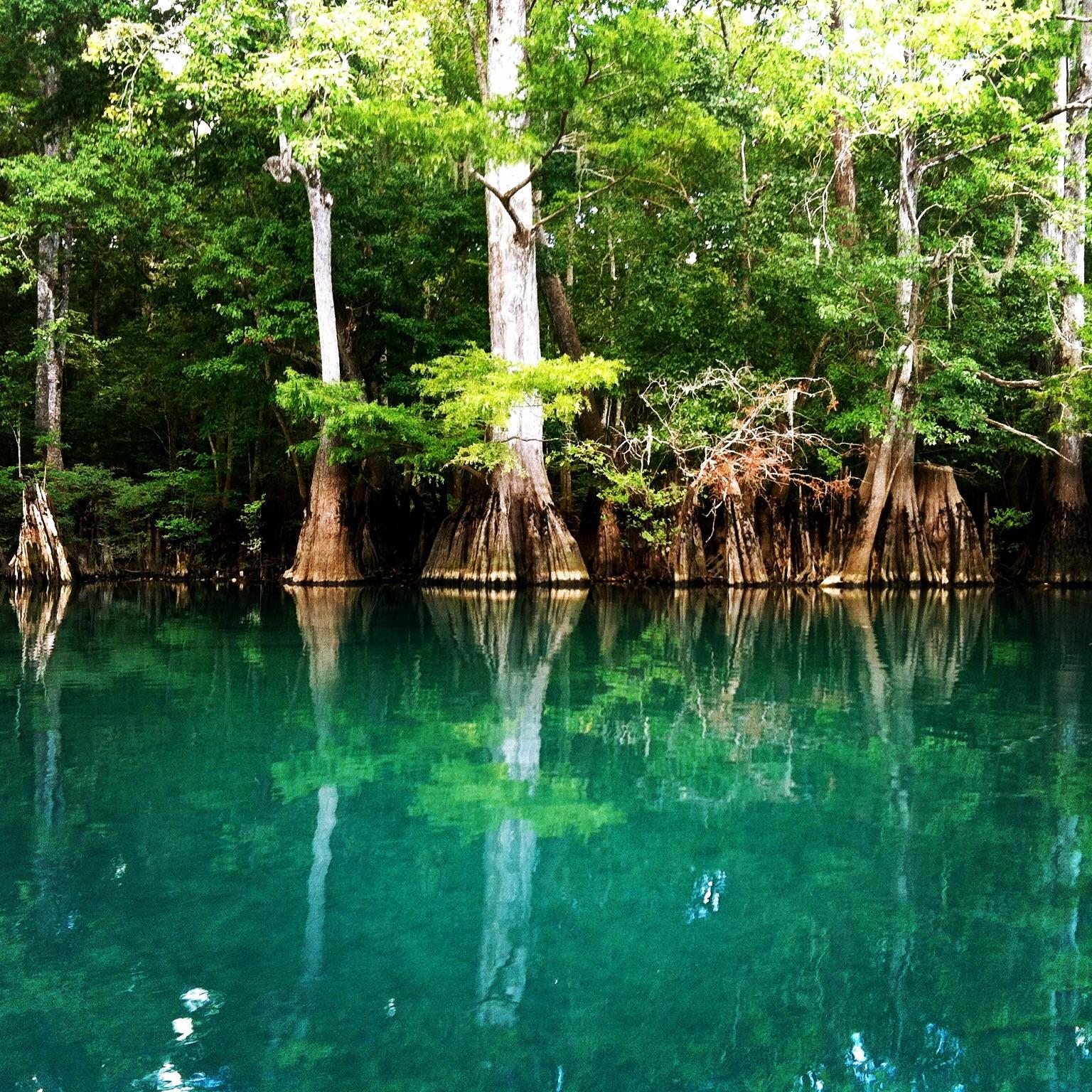 Morrison Springs