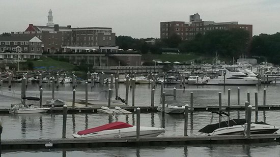 Riverside Gardens Park