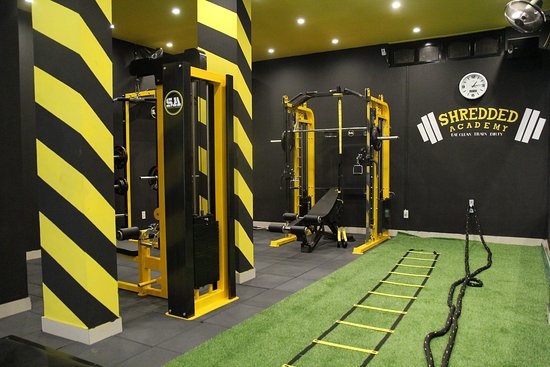 Shredded Academy