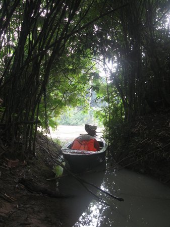 Yokdon National Park