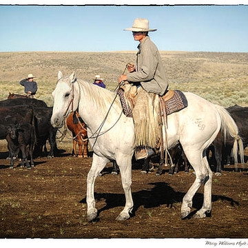 Lil Buckaroo Birthday Ranch