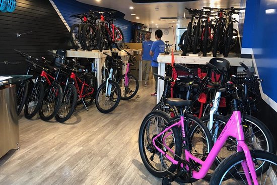 Freedom Bikes