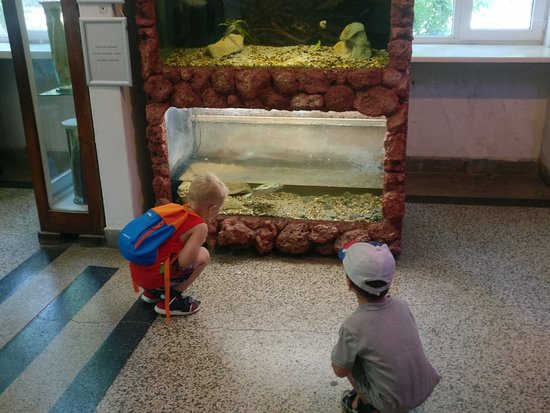 The Aquarium and the Black Sea Museum