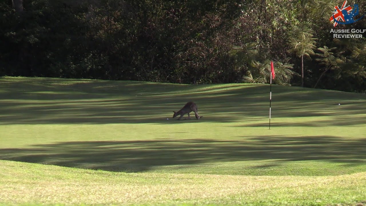 Kooralbyn Valley Golf Course