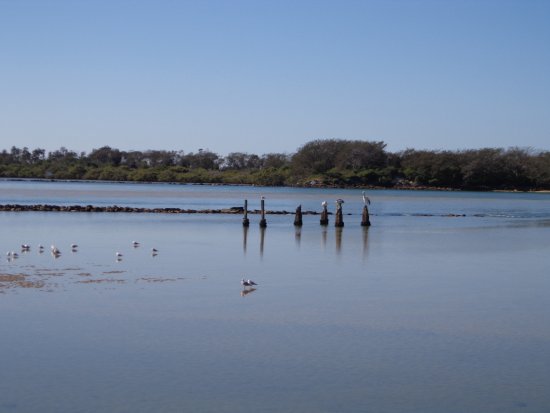 Bellinger Heads State Park