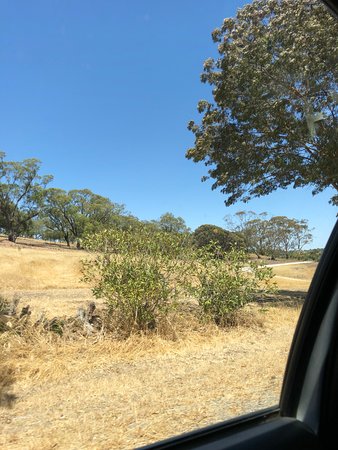 Barossa and Light Cab Service