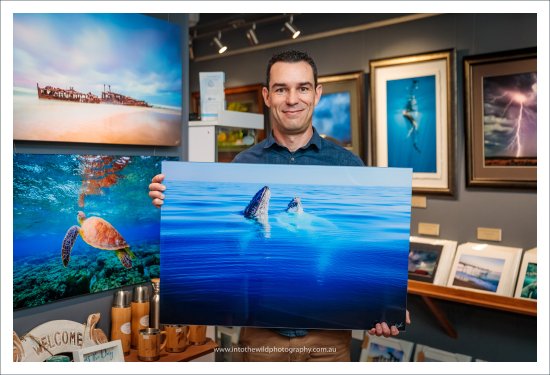 Into The Wild Photography