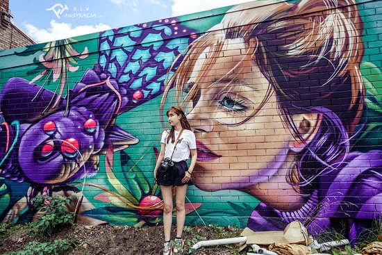 Street Art Walk - by Street Art Murals Australia