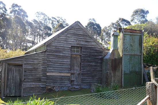 Davidson Whaling Station