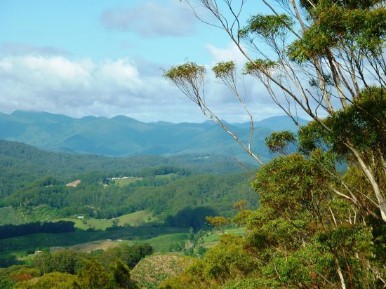 Bruxner Park Flora Reserve
