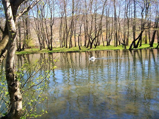 Driloni National Park