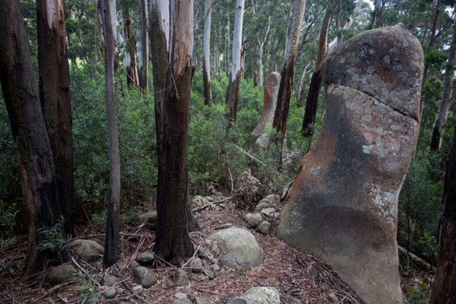 Gulaga National Park