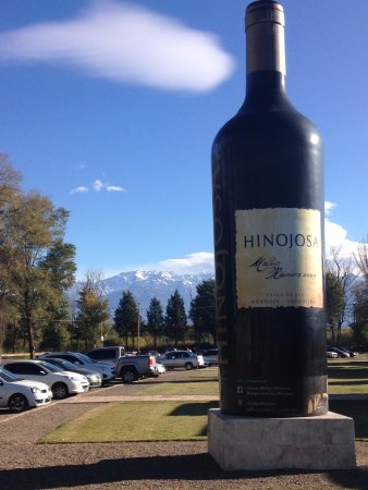 Pergolas de Vista Flores