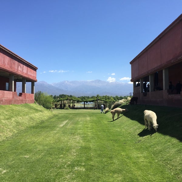 Ernesto Catena Vineyards