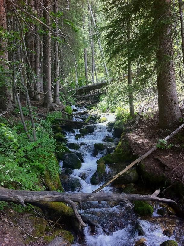 Stony Creek Nature Reserve