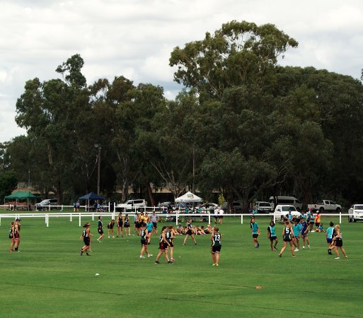 Narrabri Region Visitor Information Centre