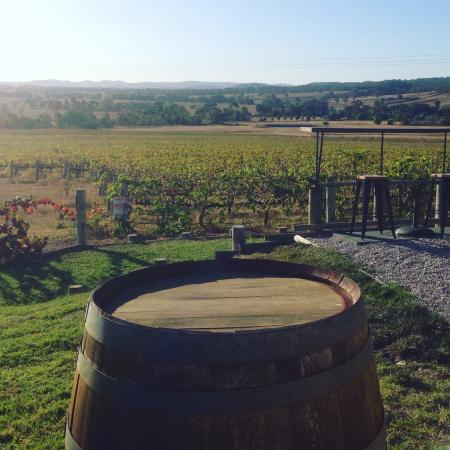 Moothi Estate Winery