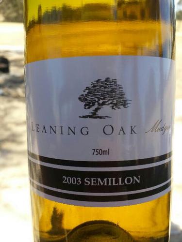 Leaning Oak
