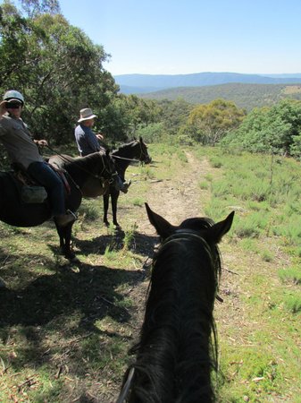 Snowy Wilderness Horse Riding