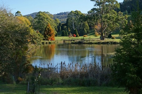The Tasmanian Arboretum