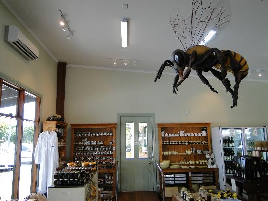 Beechworth Honey Experience