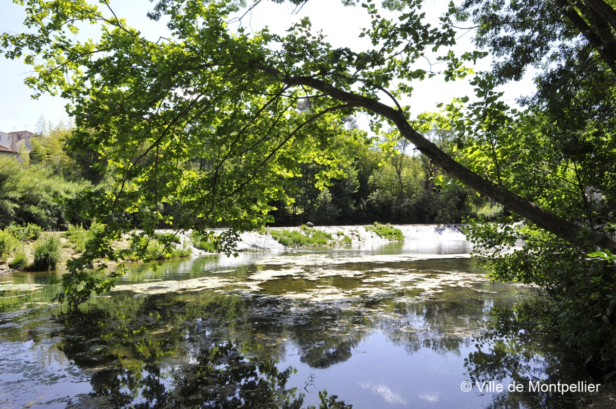 Parc du Domaine de Meric