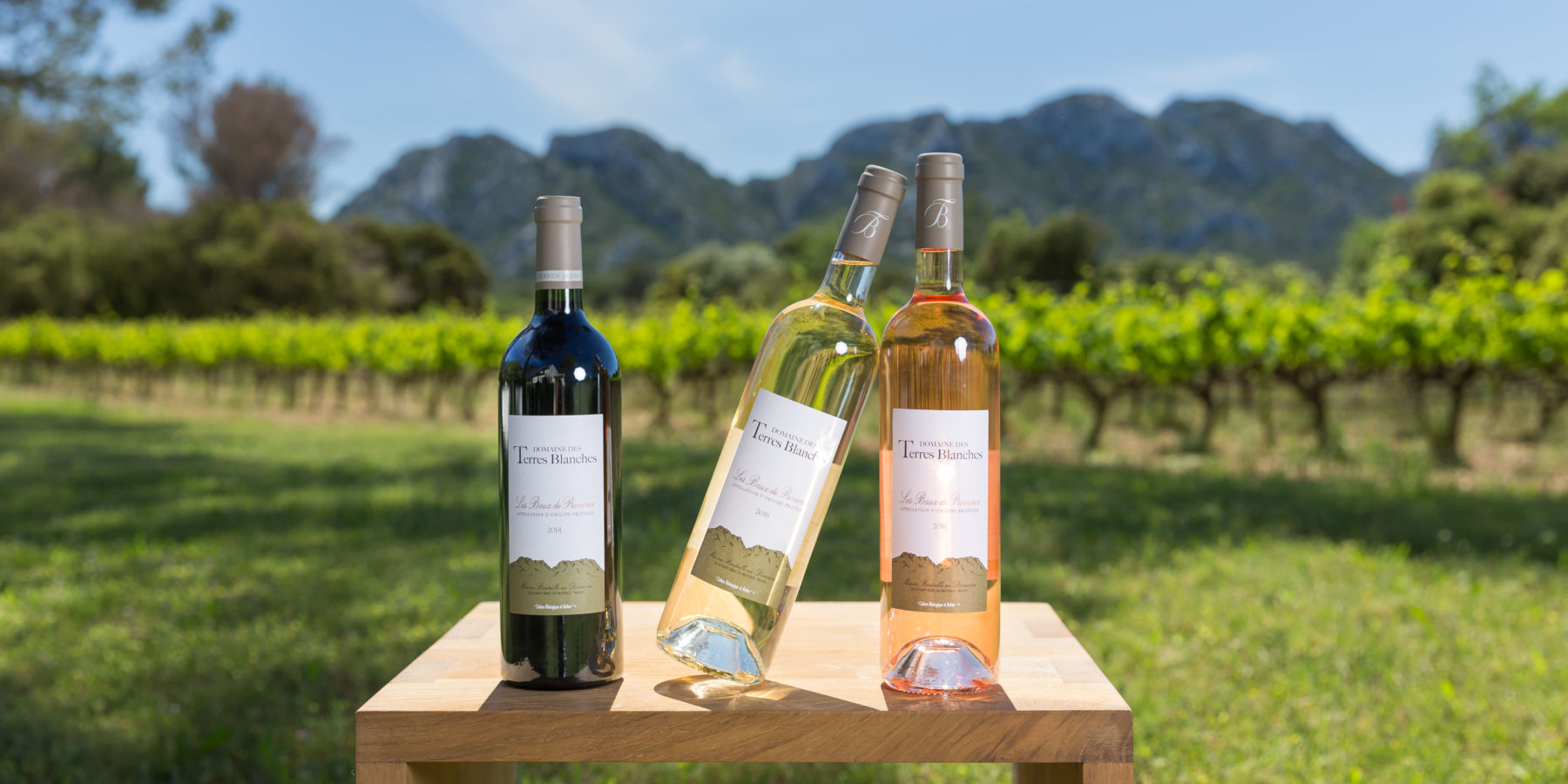 Domaine Des Terres Blanches