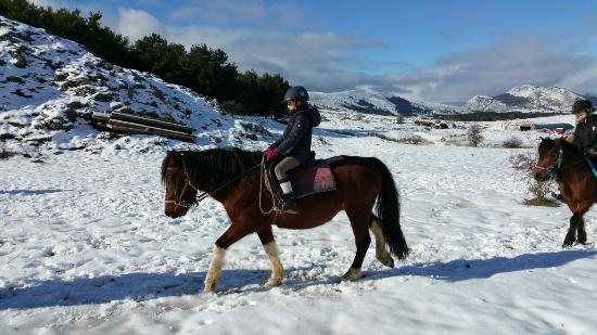 Magic Poney