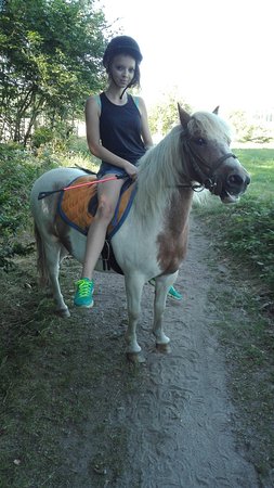 Tous en selle 88
