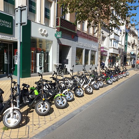 Calais Coeur De Vie