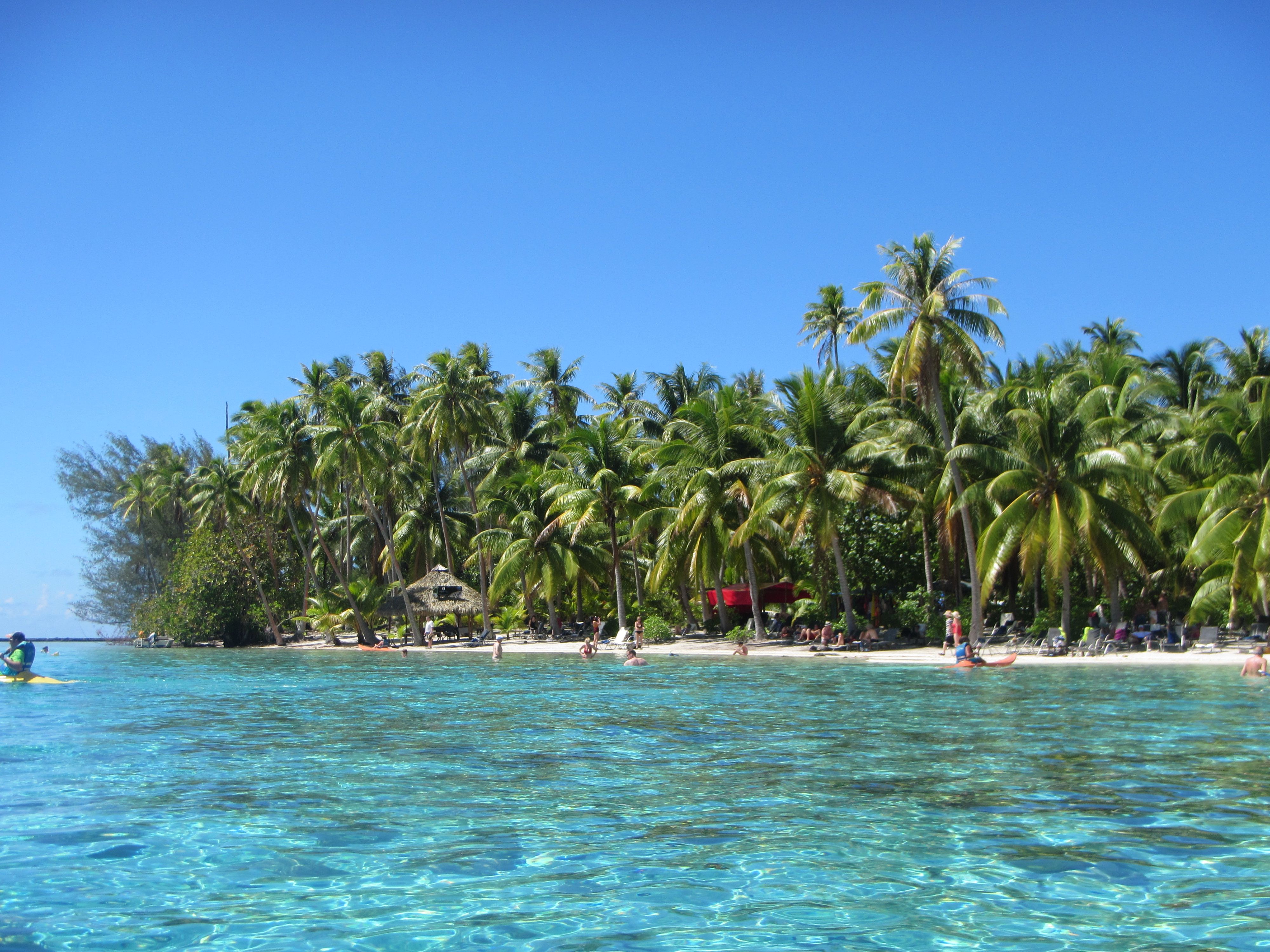 Miel.A Tahiti