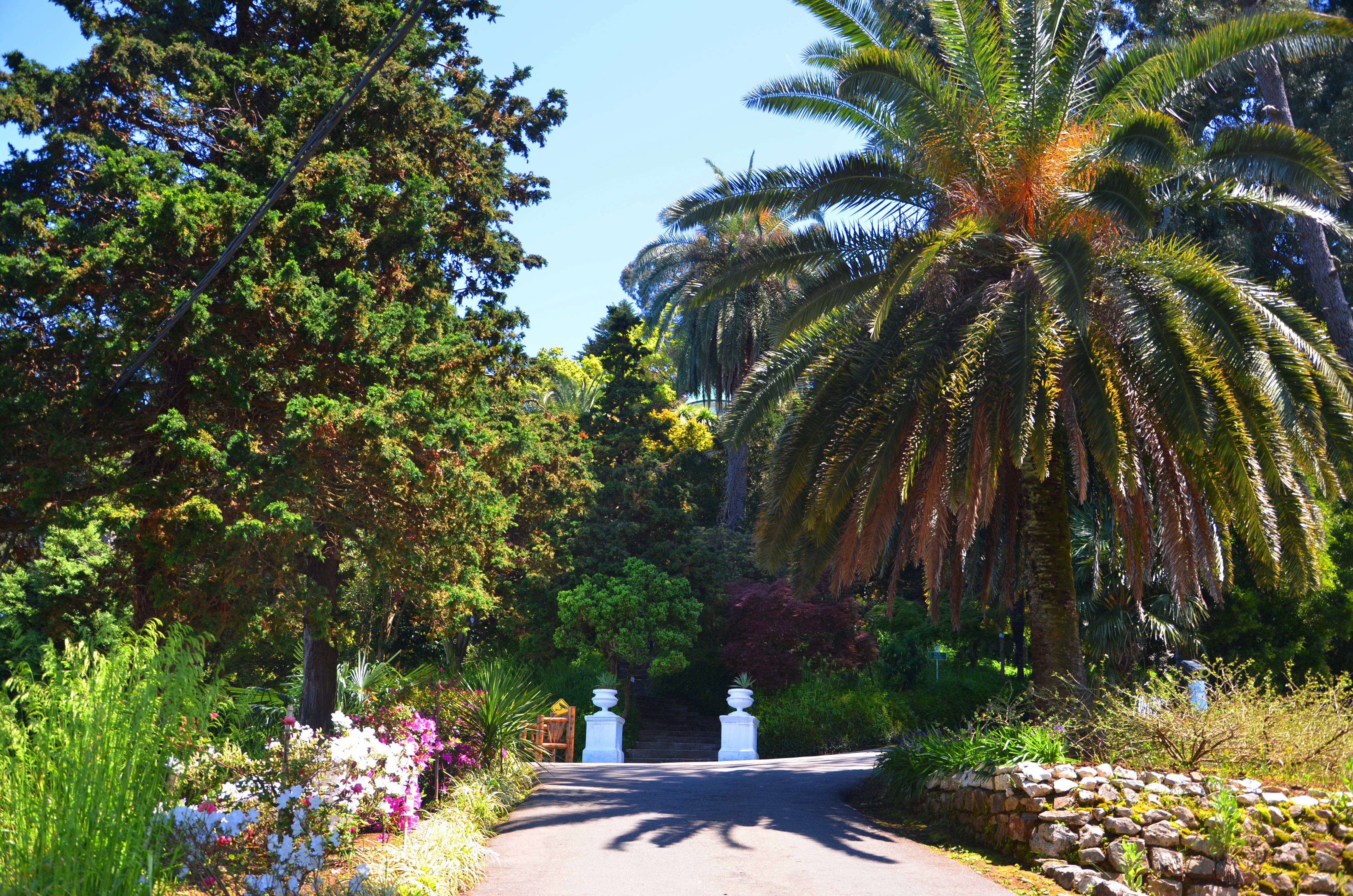 Batumi Botanical Gardens