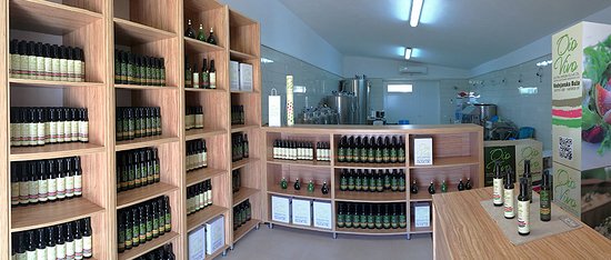 Oio Vivo