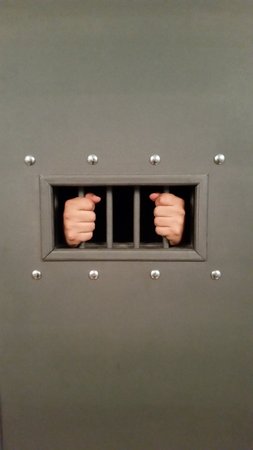 Room Escape Rijeka by Fox In A Box