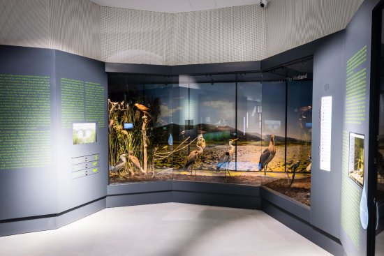 Metkovic Natural History Museum