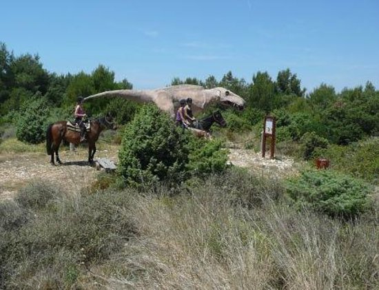 Samy's Ranch