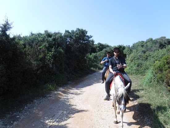 Ranch Istra Star