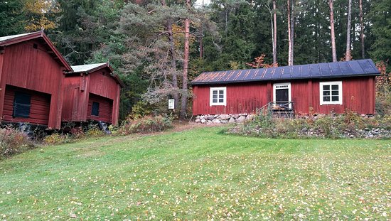 Outdoor Pictures 1