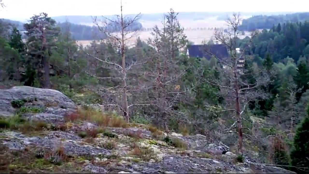 Outdoor Pictures 1