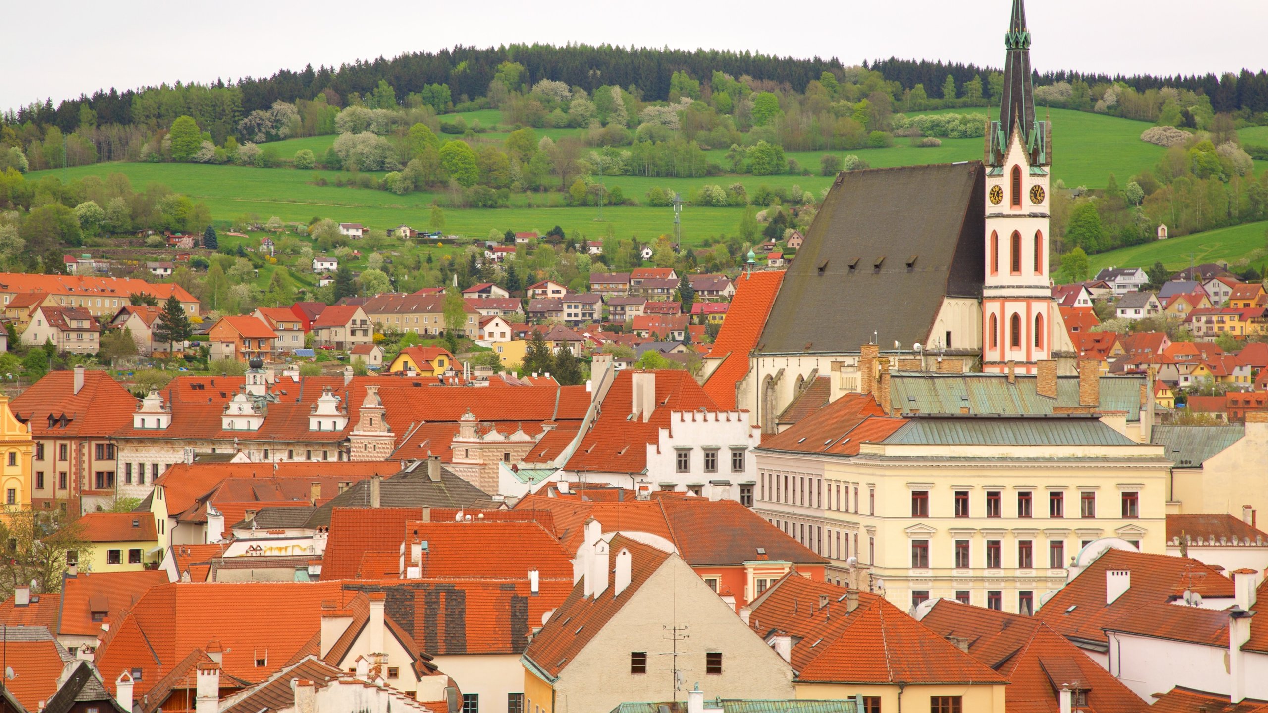 Church of St. Vitus