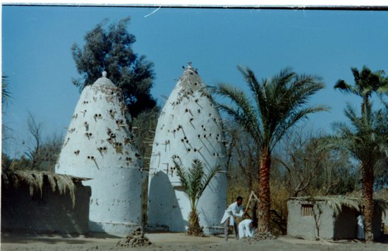 Dr. Ragab Papyrus Institute