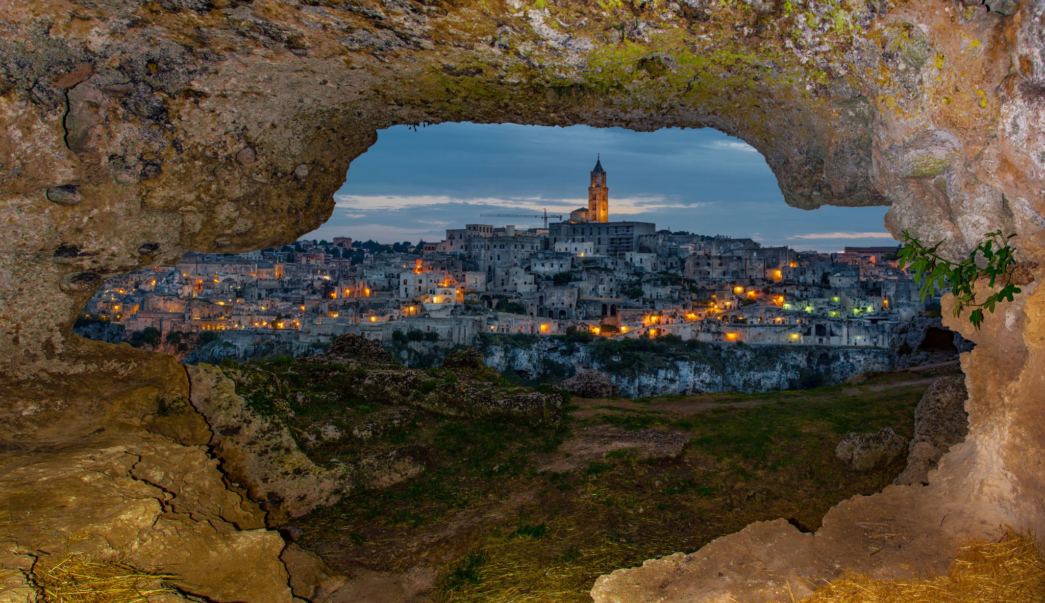 Matera Bio
