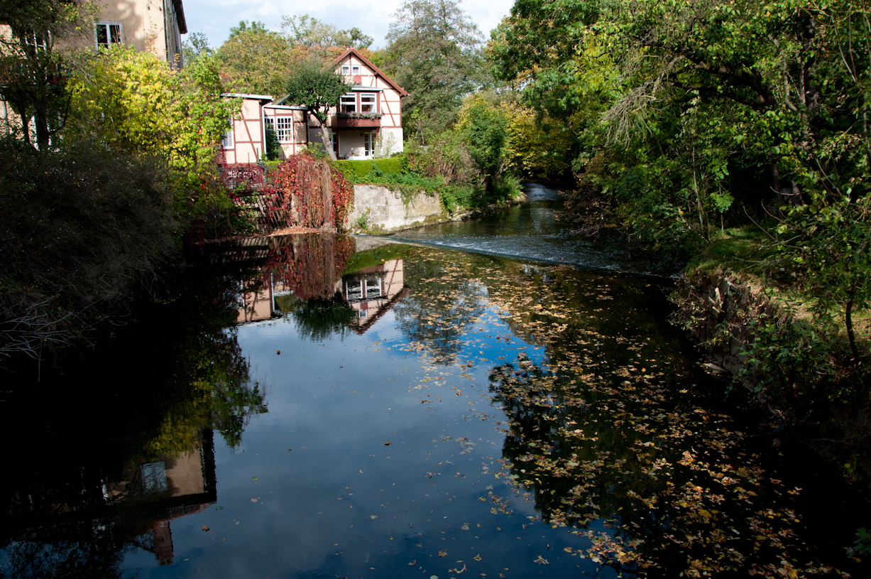 Park an der Ilm