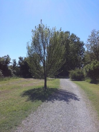 Il Bosco dei Cento Passi