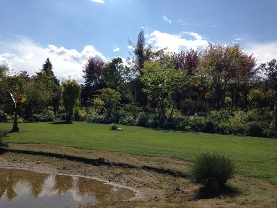 Giardino Botanico di Villa Bricherasio