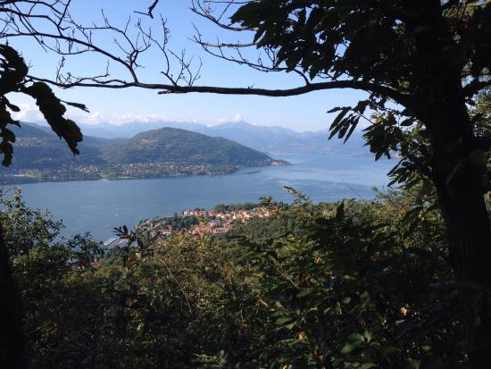 Collina di San Quirico