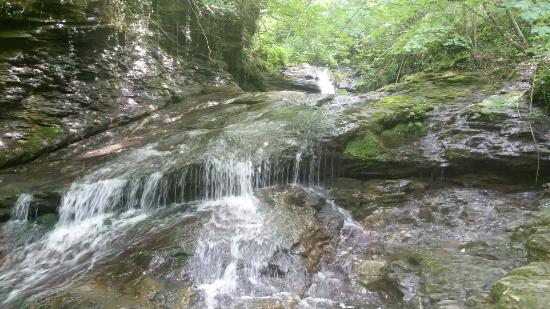 Outdoor Pictures 1